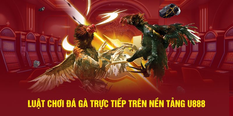 Luật chơi đá gà trực tiếp trên nền tảng U888