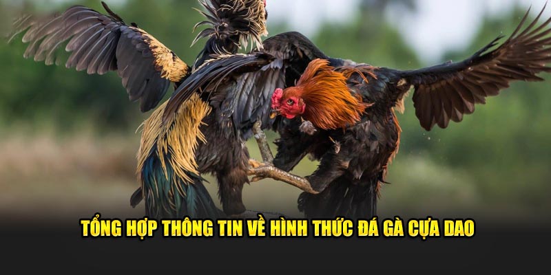 Tổng hợp thông tin về hình thức giải trí chất lượng trên thị trường 